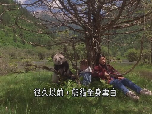 The Amazing Panda Adventure