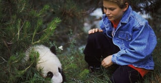 The Amazing Panda Adventure