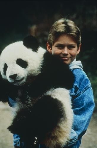 The Amazing Panda Adventure