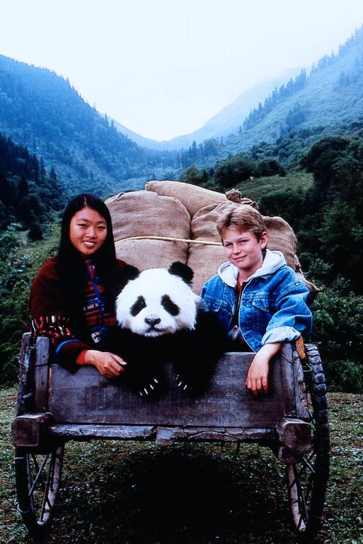 The Amazing Panda Adventure