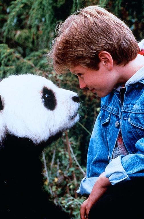 The Amazing Panda Adventure