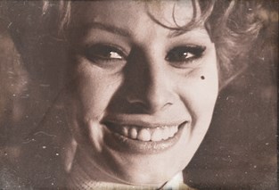 Sophia Loren picture