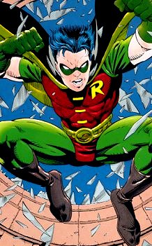 Picture of Robin