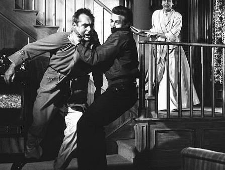 Rebel Without a Cause