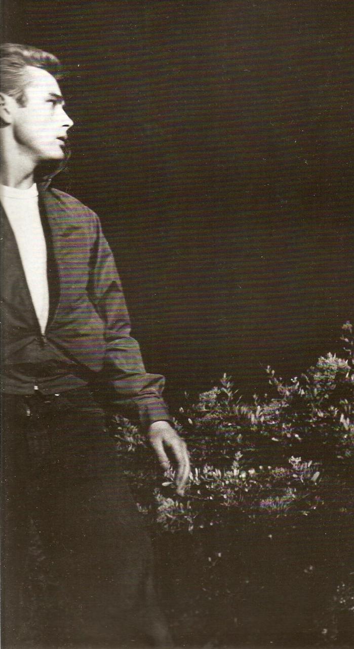 Rebel Without a Cause