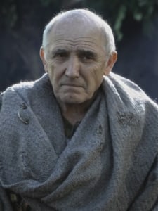 Maester Luwin