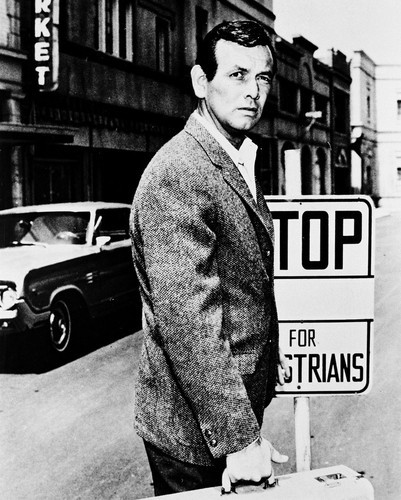 The Fugitive                                  (1963-1967)