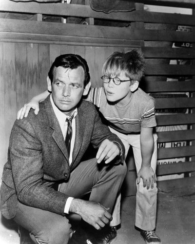 Image Of The Fugitive (1963-1967)