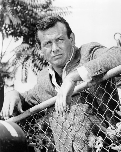 David Janssen David Janssen