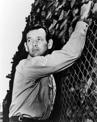 David Janssen David Janssen
