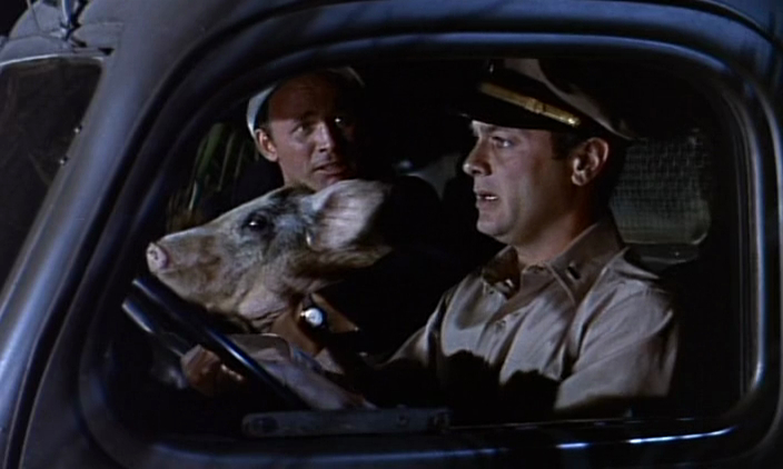 Operation Petticoat