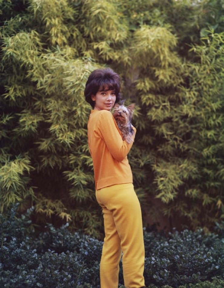 Picture of Suzanne Pleshette