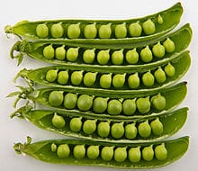 Peas (Garden Peas)