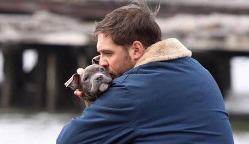 Tom Hardy