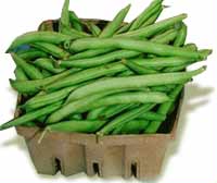 Green Beans (String Beans / Runner Beans)