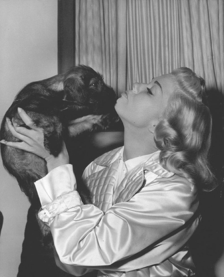 Doris Day Doris Day