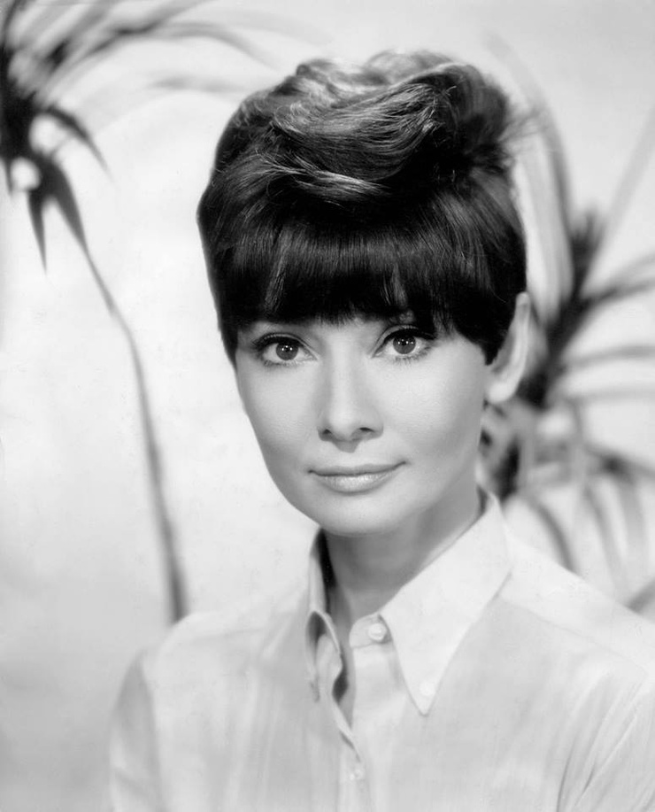 Audrey Hepburn Audrey Hepburn