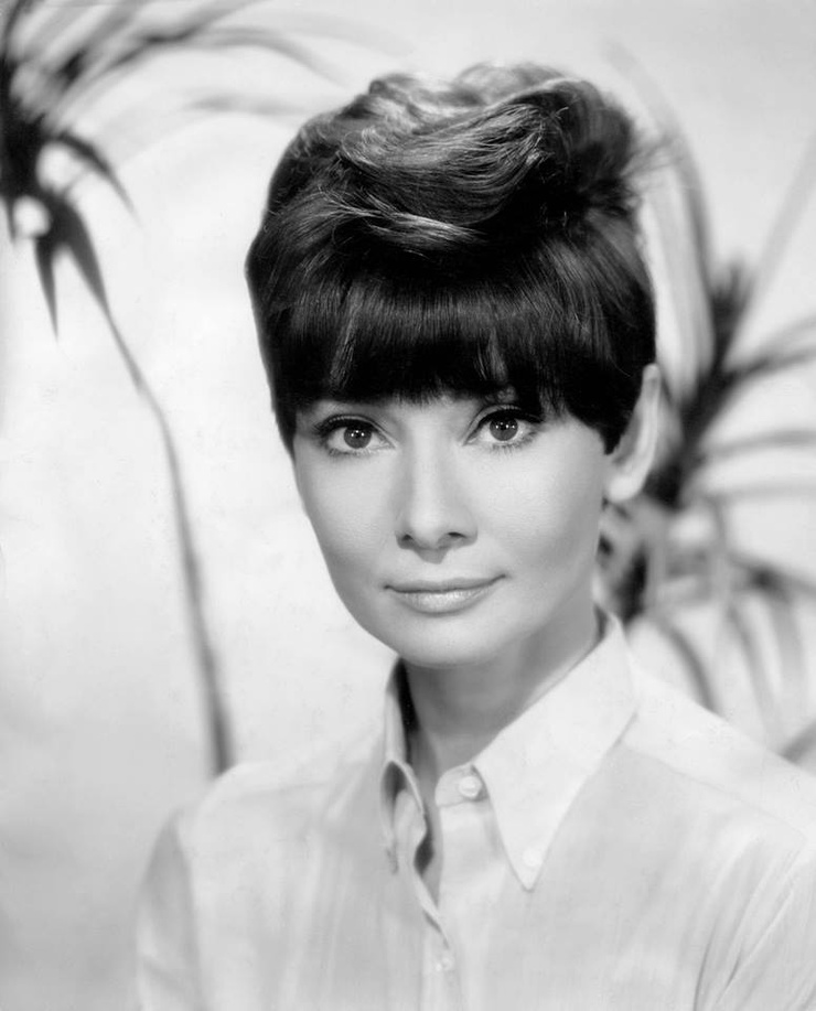 Picture of Audrey Hepburn