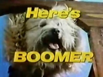 Here's Boomer