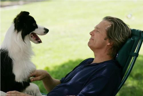 Jeff Bridges