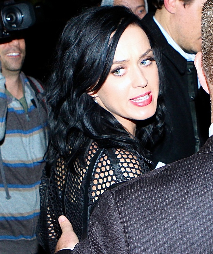 Katy Perry Katy Perry