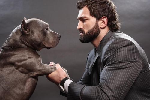 Andrei Arlovski