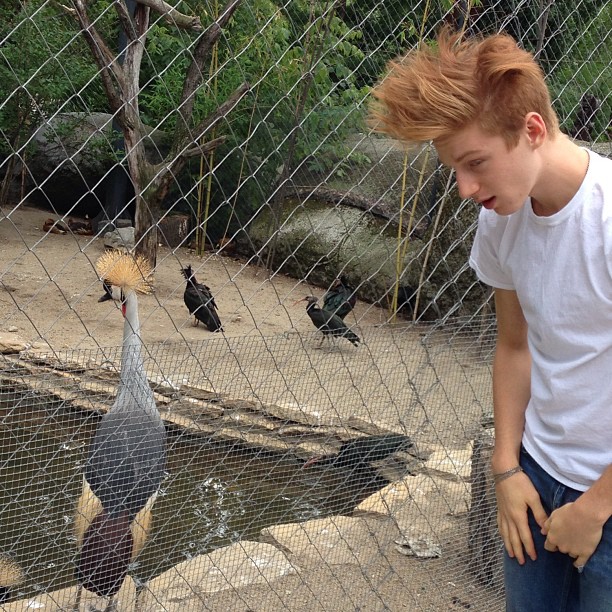 Race Imboden
