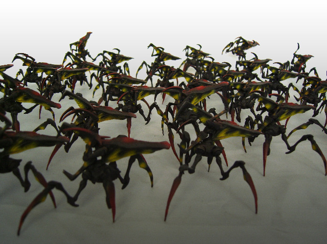 The Aarachnids