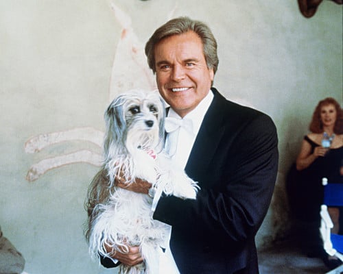 Robert Wagner