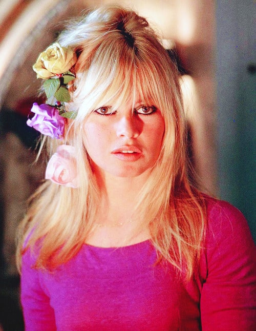 Picture of Brigitte Bardot