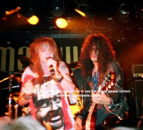 Axl Rose