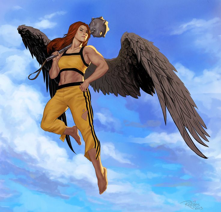 hawkgirl premium format