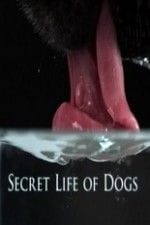Secret Life Of Dogs