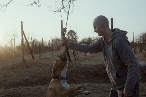My Dog Killer My Dog Killer
