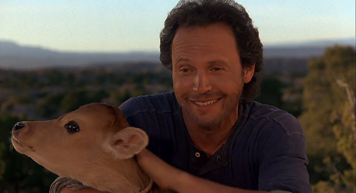 City Slickers City Slickers