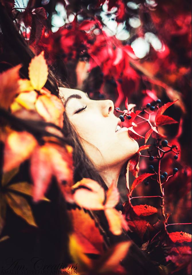 Elize Ryd