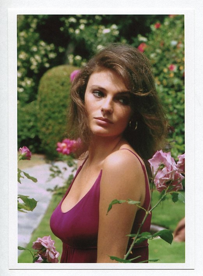 Jacqueline Bisset Jacqueline Bisset