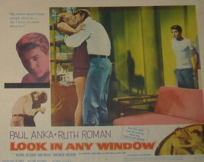 Look in Any Window