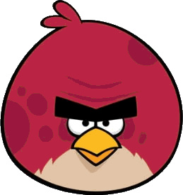 Terence (Big Brother Bird)