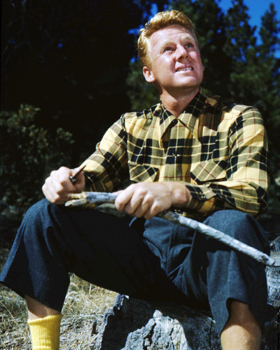 Van Johnson Van Johnson