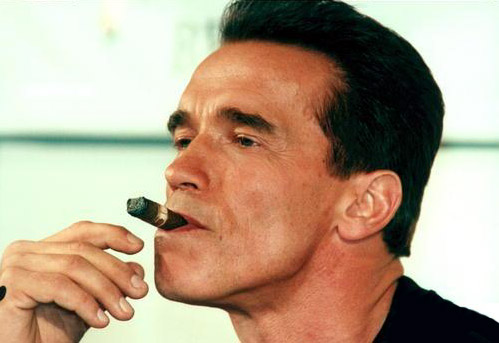 Arnold Schwarzenegger Arnold Schwarzenegger
