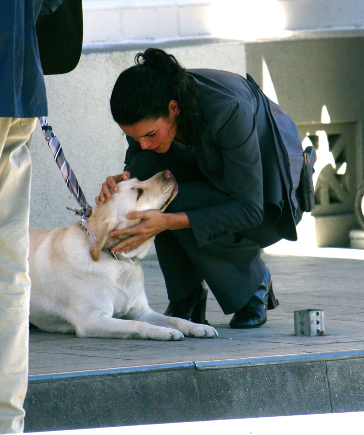 Angie Harmon Angie Harmon