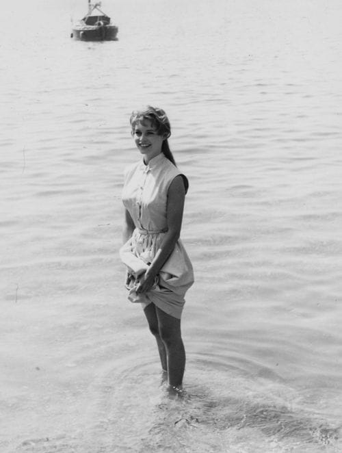 Picture Of Brigitte Bardot