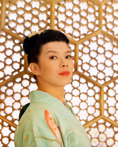 Yoko Tani