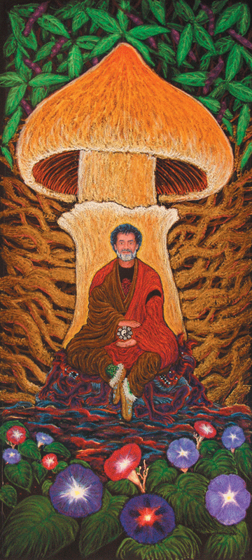 Terence McKenna