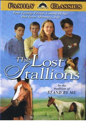 The Lost Stallions