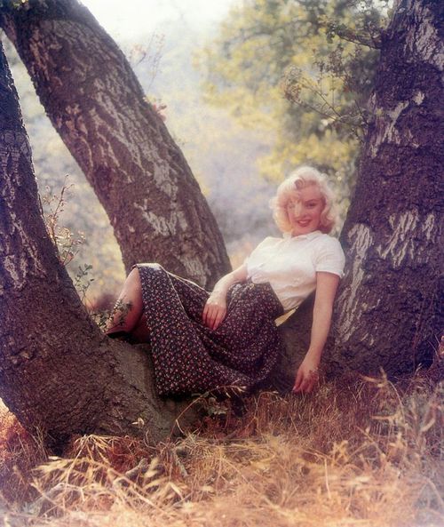 Marilyn Monroe Marilyn Monroe
