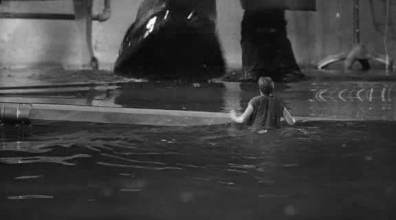 The Incredible Shrinking Man