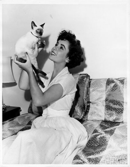 Elizabeth Taylor Elizabeth Taylor