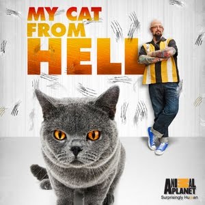 My Cat from Hell My Cat from Hell